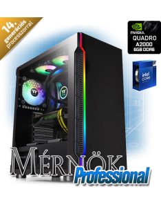   Mérnök Professional 14.gen munkaállomás - i9-14900KF, 32GB DDR5 4800MHz RAM, 250GB M.2 (3000/3500), 1TB SSD (500/550), RTX A2000 6GB